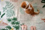 Lorena Canals - Washable Rug Botanic Plants M - 200x140cm