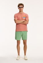 Shiwi - Men Swim Shorts Mike Stretch - Sage Green