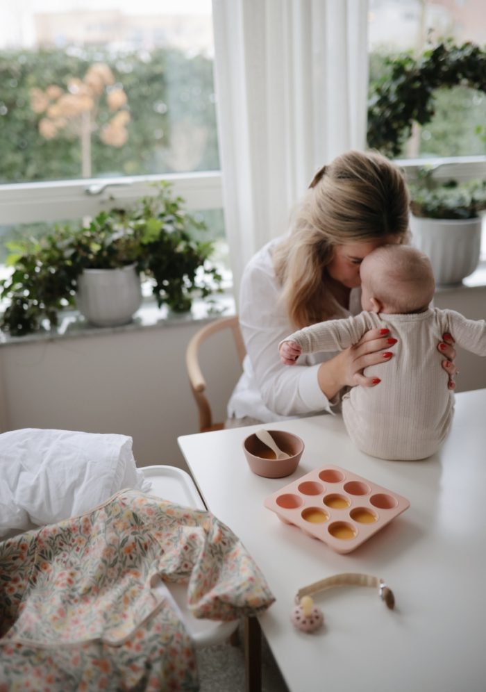 Mushie - Baby Food Freezer Tray - Blush