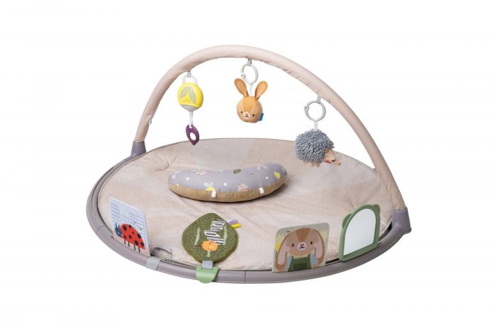 Taf Toys - Tummy Time Activity Gym