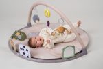 Taf Toys - Tummy Time Activity Gym