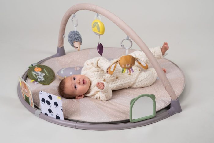 Taf Toys - Tummy Time Activity Gym