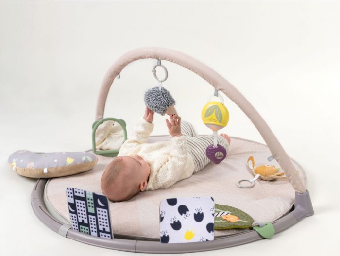 Taf Toys - Tummy Time Activity Gym